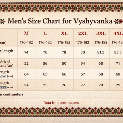 Men's Ukrainian embroidered shirt