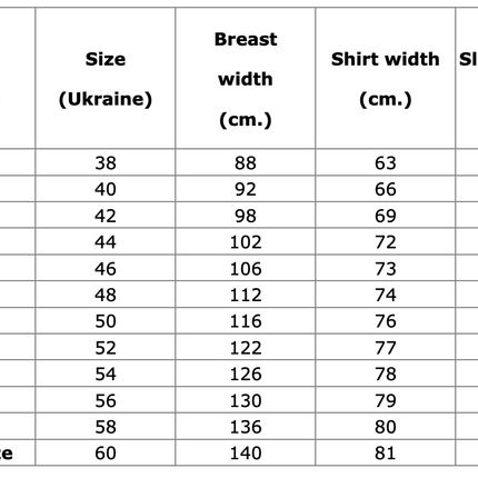 Men embroidered shirt