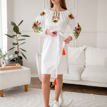 Dress with Embroidery