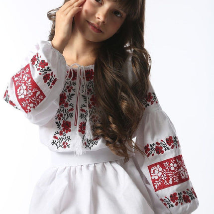 Dress girls with traditional embroidery