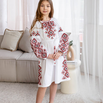 Dress with embroidery for a girl