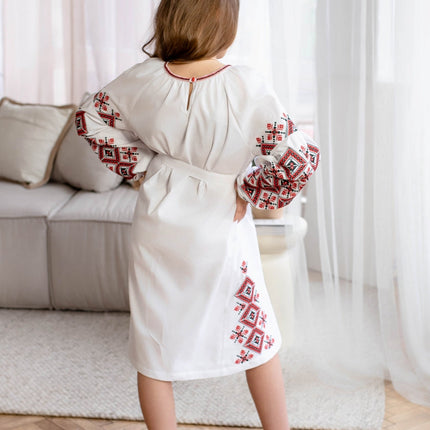 Dress with embroidery for a girl