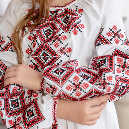 Dress with embroidery for a girl