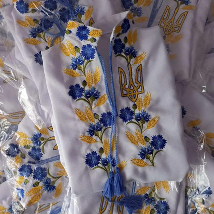 Embroidered Boy's Shirt with Cornflowers and Coat of Arms