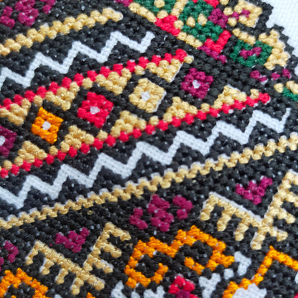 Traditional Ukrainian vyshyvanka with rich geometric embroidery