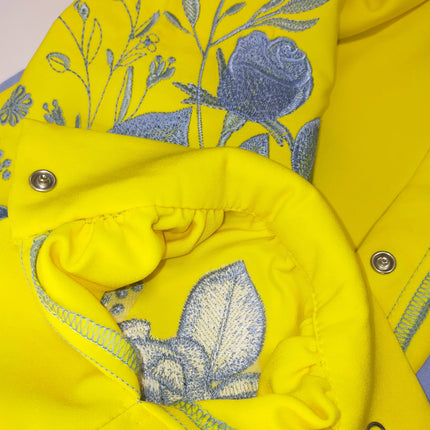 Women's blouse in Ukrainian style