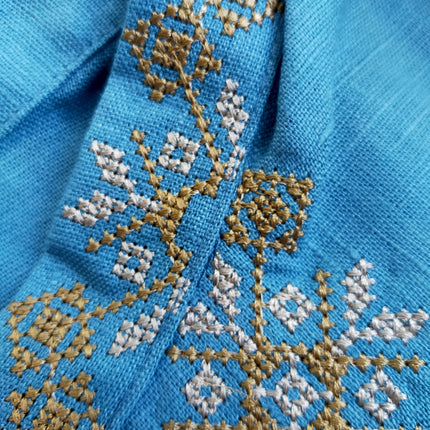 Vyshyvanka men's shirt with Ukrainian symbols