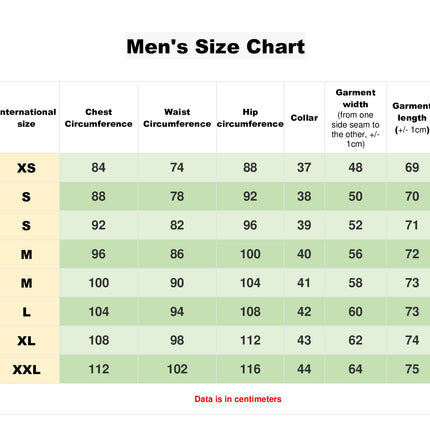 Men's vyshyvanka shirt Mits