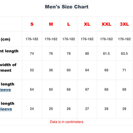 Men's embroidered shirt