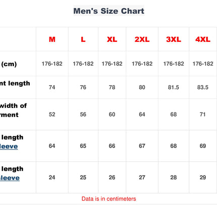 Men's linen vyshyvanka shirt
