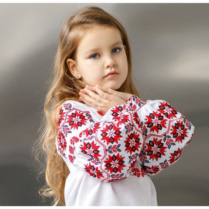 Vyshyvanka blouse for a girl