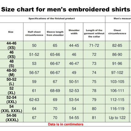 Men vyshyvanka shirt