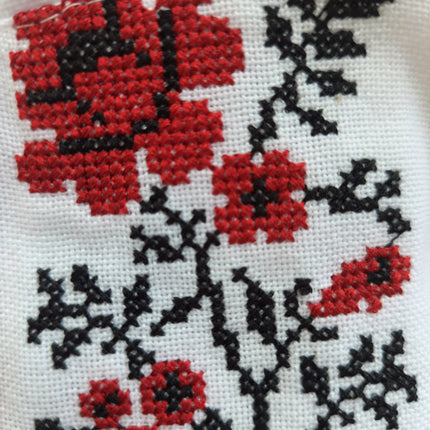 Embroidered Ukrainian Dress for Girls – Red Floral Vyshyvanka with Traditional Folk Design